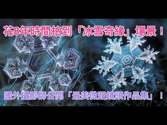花8年時間拍到「冰雪奇緣」場景!國外攝影師公開「最美微距鏡頭作品集」!